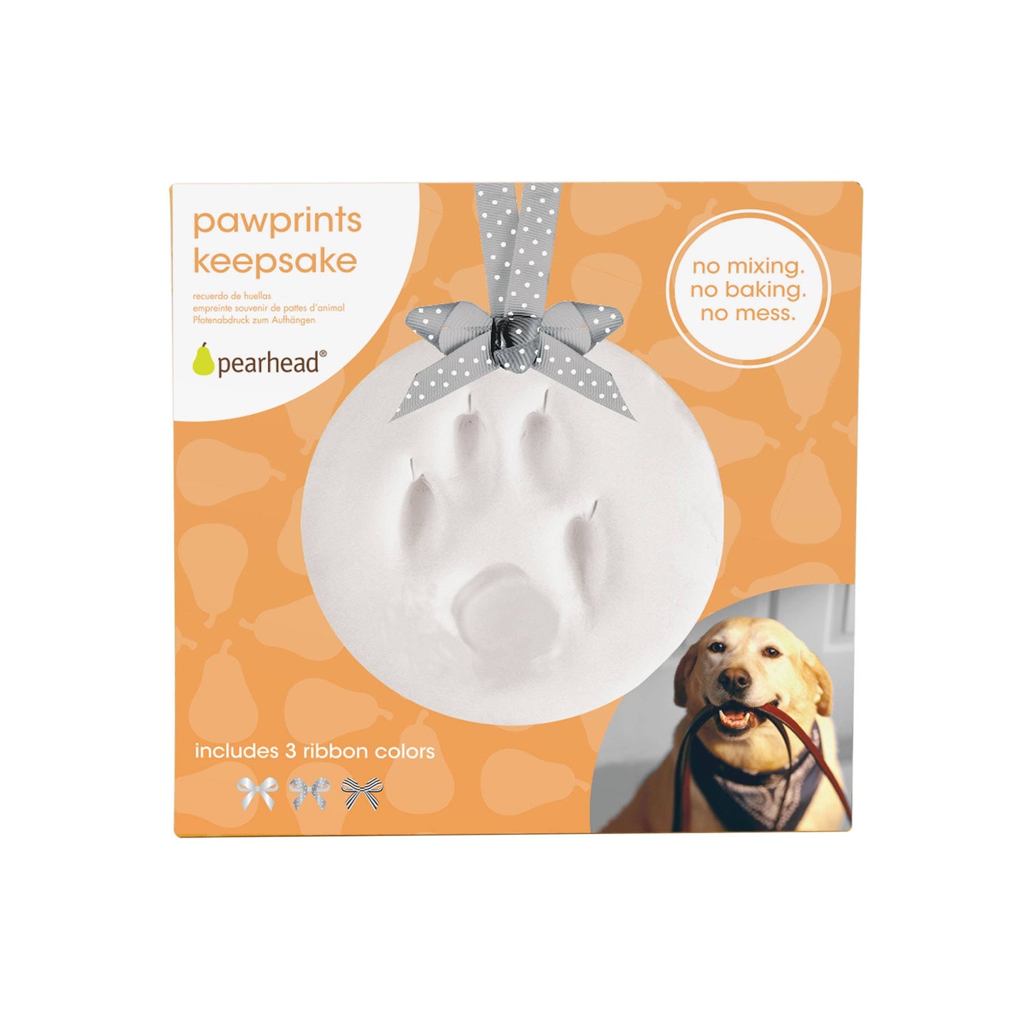 Pawprint Keepsake Kit