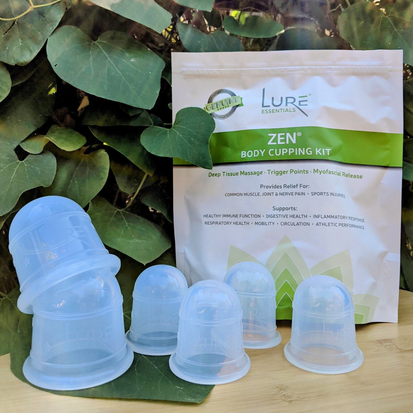 BODY MASSAGE CUPPING SET of 6