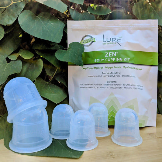 BODY MASSAGE CUPPING SET of 6